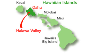 ハワイ画像
